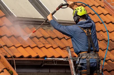 Démoussage et hydrofuge de toiture au Ménil-Vicomte